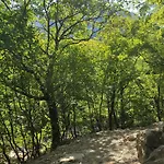 Savic * Starigrad Paklenica