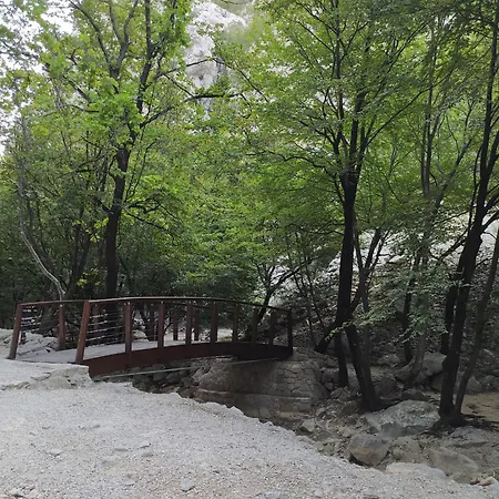 Savic 아파트