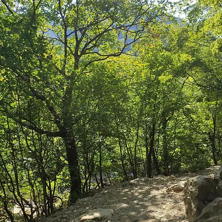 Savic * Starigrad Paklenica