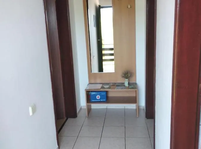 Savic * 스타리그라드 파클레니차