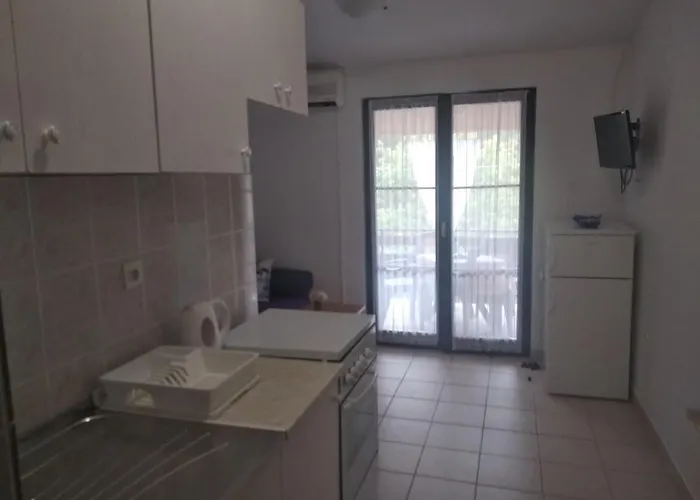 Savic * 스타리그라드 파클레니차