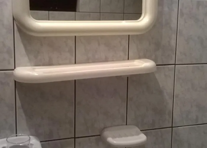 Savic 스타리그라드 파클레니차