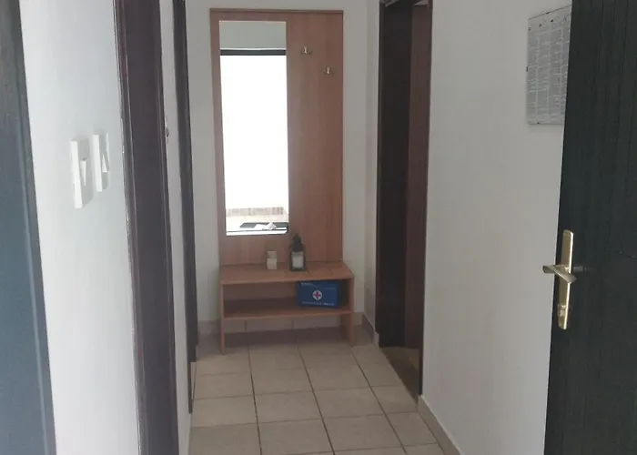 Savic * 스타리그라드 파클레니차