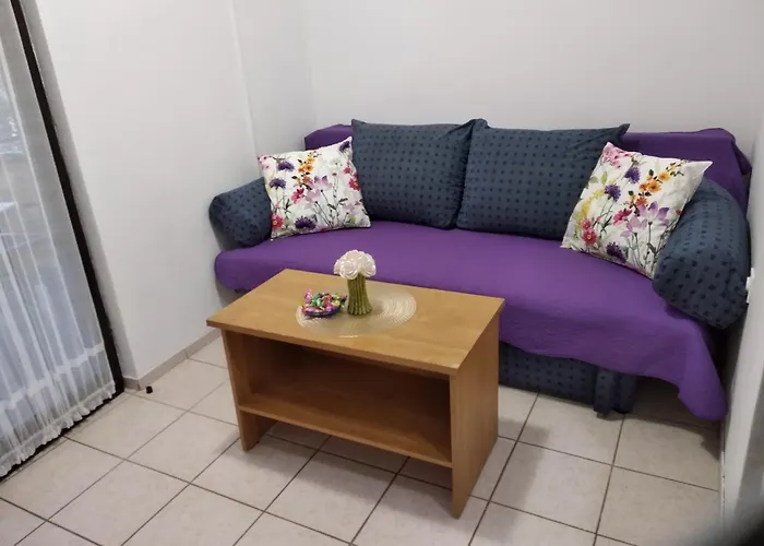 Savic 아파트 스타리그라드 파클레니차