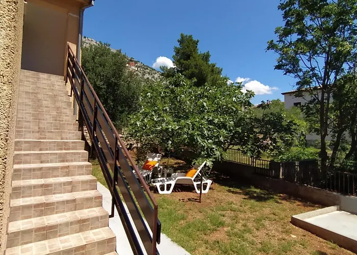 Savic * 스타리그라드 파클레니차