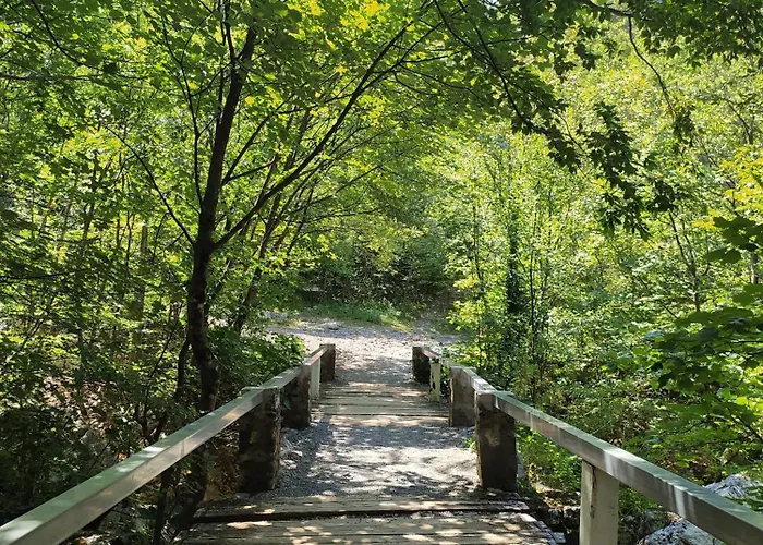 Savic 스타리그라드 파클레니차