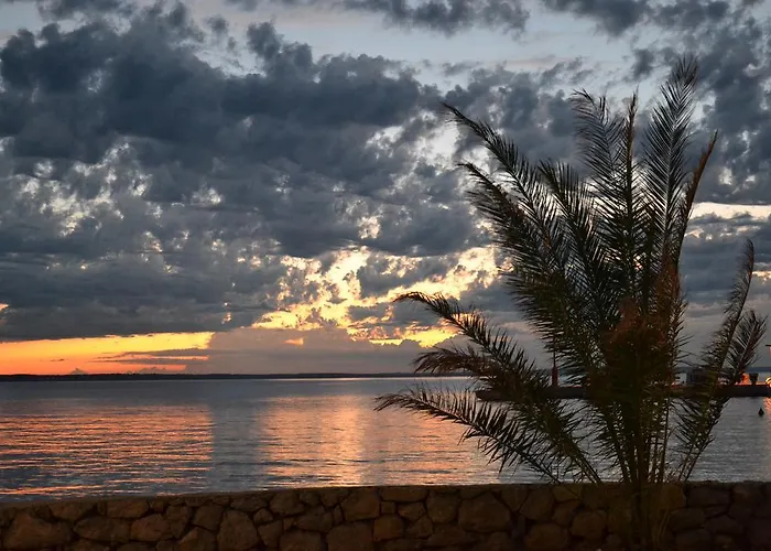 Savic 스타리그라드 파클레니차