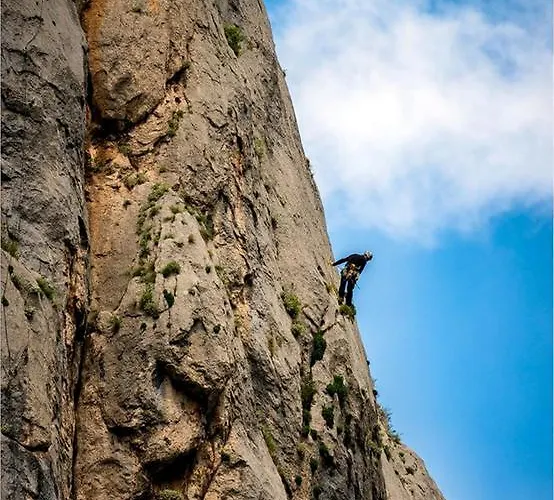 Savic * 스타리그라드 파클레니차